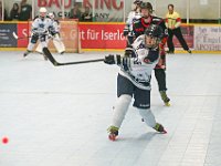 DSC09687-1500