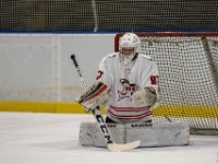 DSC02453-1500