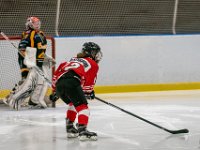 DSC02463-1500