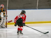 DSC02464-1500