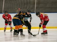 DSC02478-1500