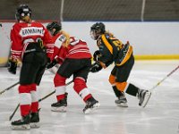 DSC02480-1500