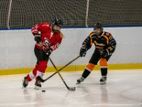 DSC02497-1500