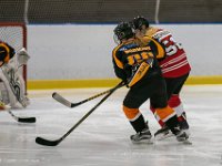 DSC02503-1500