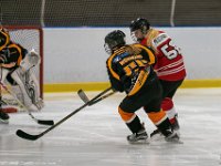 DSC02504-1500