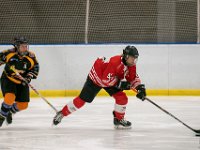 DSC02507-1500