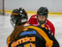 DSC02512-1500