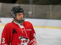 DSC02517-1500