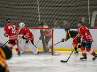 DSC02520-1500
