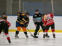 DSC02531-1500