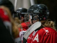 DSC02564-1500