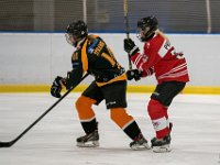 DSC02565-1500