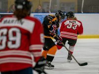 DSC02570-1500