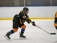 DSC02575-1500