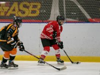 DSC02584-1500