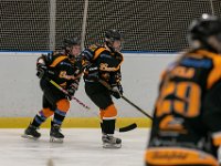 DSC02590-1500