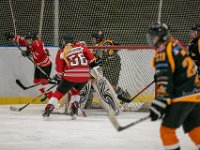 DSC02594-1500