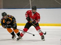 DSC02607-1500