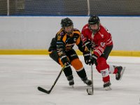 DSC02609-1500