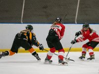 DSC02617-1500