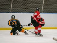 DSC02619-1500