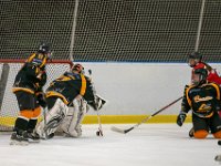 DSC02620-1500