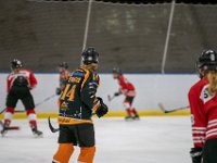 DSC02622-1500