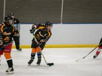DSC02634-1500