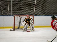 DSC02639-1500
