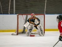 DSC02640-1500