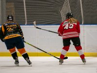 DSC02641-1500