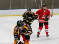 DSC02650-1500