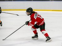 DSC02659-1500