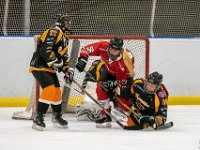 DSC02663-1500