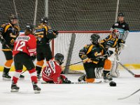 DSC02664-1500