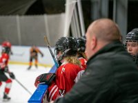 DSC02672-1500