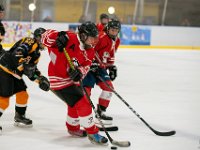 DSC02680-1500