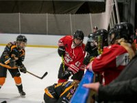 DSC02683-1500