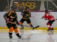 DSC02742-1500