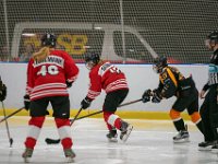 DSC02758-1500