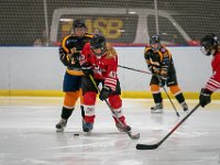 DSC02761-1500