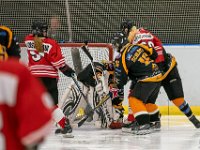 DSC02779-1500