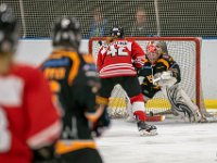 DSC02806-1500