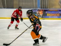DSC02808-1500