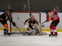 DSC02838-1500