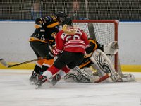 DSC02841-1500