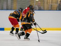 DSC02862-1500