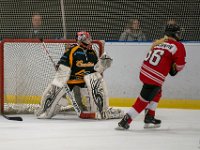 DSC02868-1500