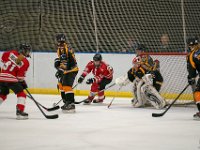 DSC02872-1500