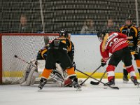 DSC02878-1500